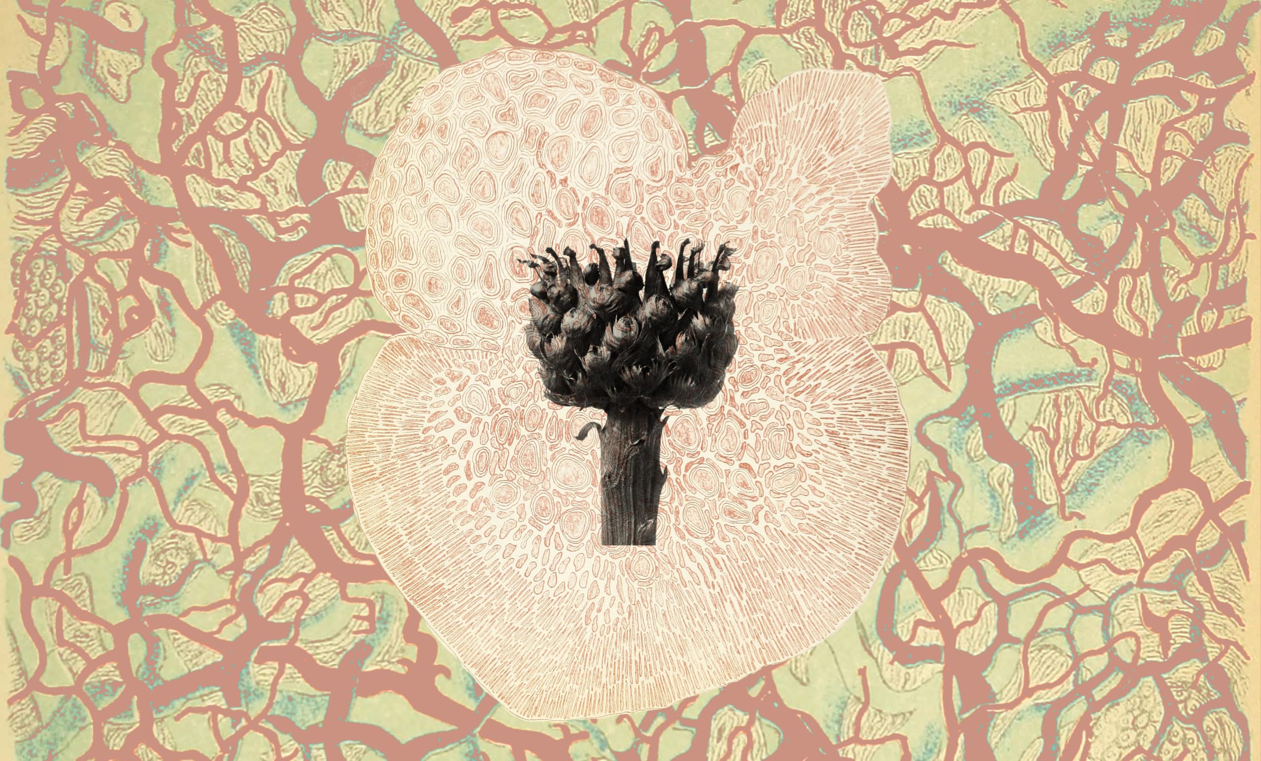 Monsters - Creative Nonfiction